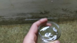 Рабочий день рыбовода. Личинка осетра и перевод на корм стерляди