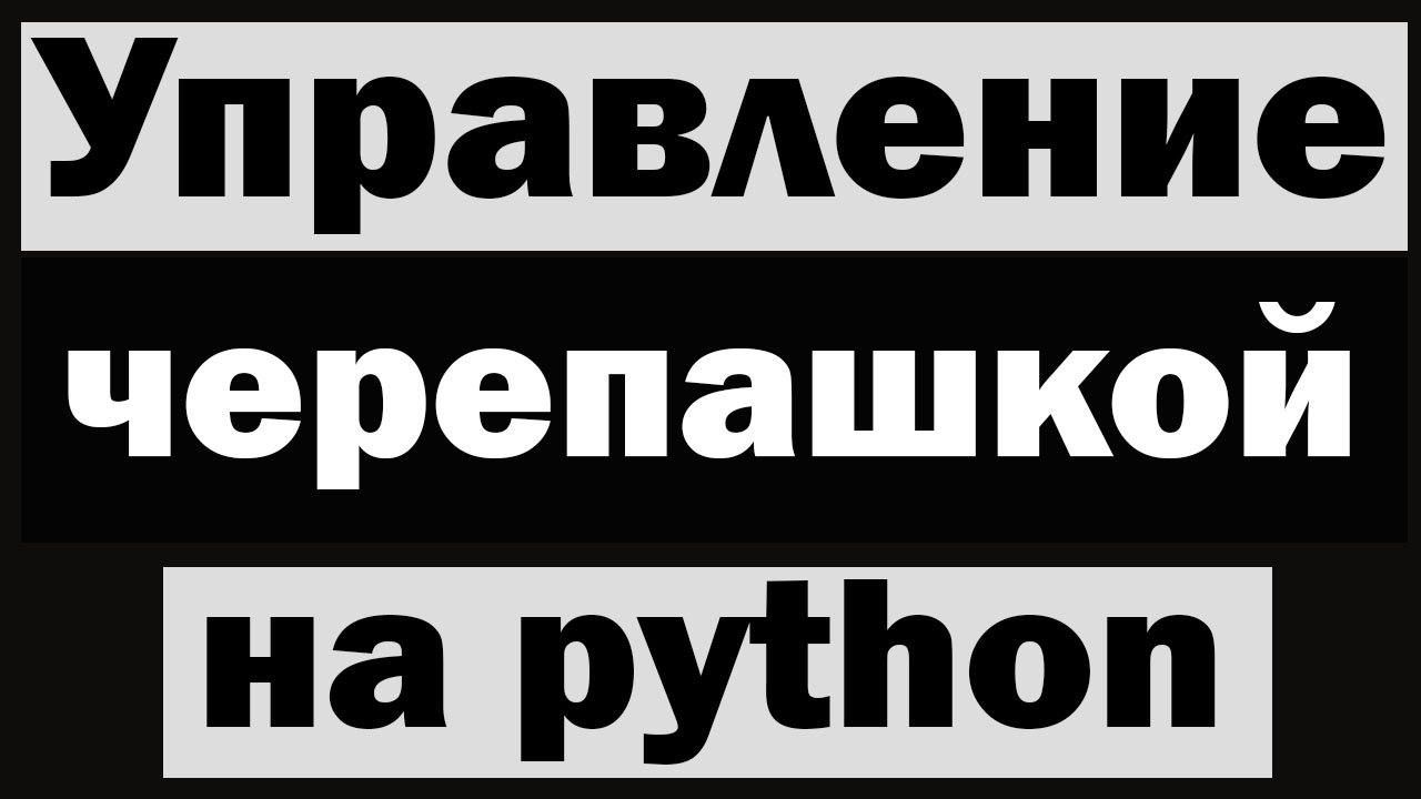 Управление черепашкой (turtle) с помощью клавиатуры python (питон)