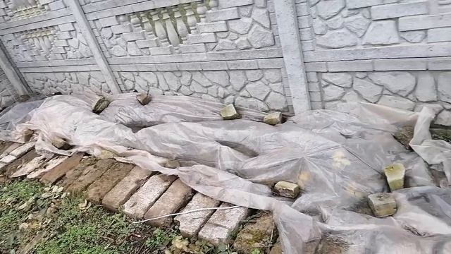 Прогулка по Моему Огороду. Ноябрь. смотреть онлайн