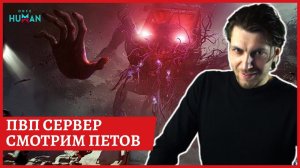 [2k] Once Human новый ЗБТ Петы + пвп серверСтрим 1