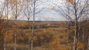 ?ОСЕНЬ В ДЕРЕВНЕ НЕСТЕРОВКА, СМОЛЕНСКОЙ ОБЛАСТИ, ХОЛМ-ЖИРКОВСКОГО РАЙОНА. (родина моей мамы).?