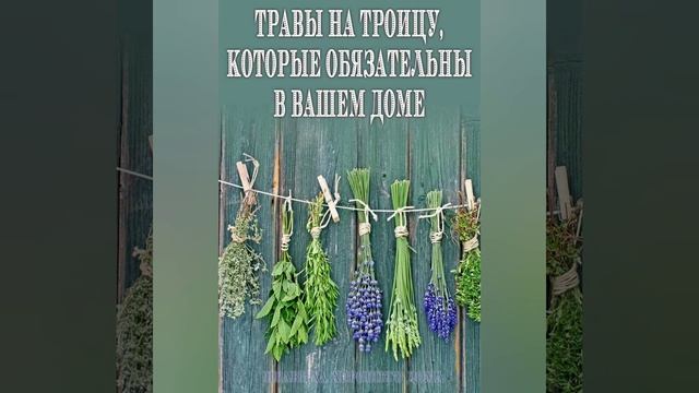 С праздником Троицы! Травы на Троицу