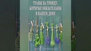 С праздником Троицы! Травы на Троицу