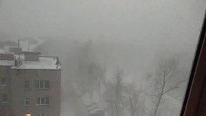 Снежная гроза в Подмосковье