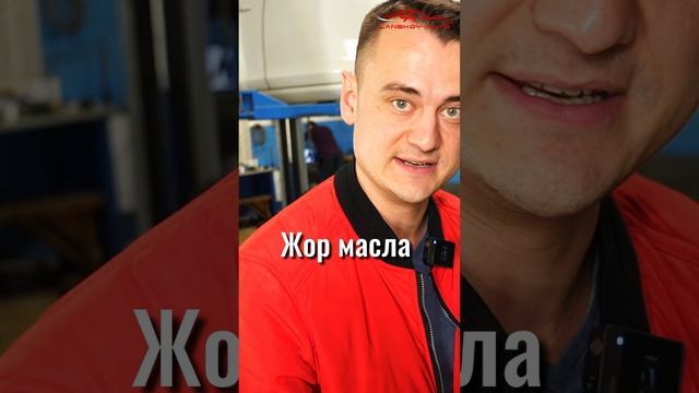 Мотор ест масло VS маслосъёмные колпачки. Какая между ними связь?
#маслосъемныеколпачки #lanskoyauto