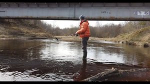 Черная речка (Ленобласть). Разведка местности и поиск рыбы.