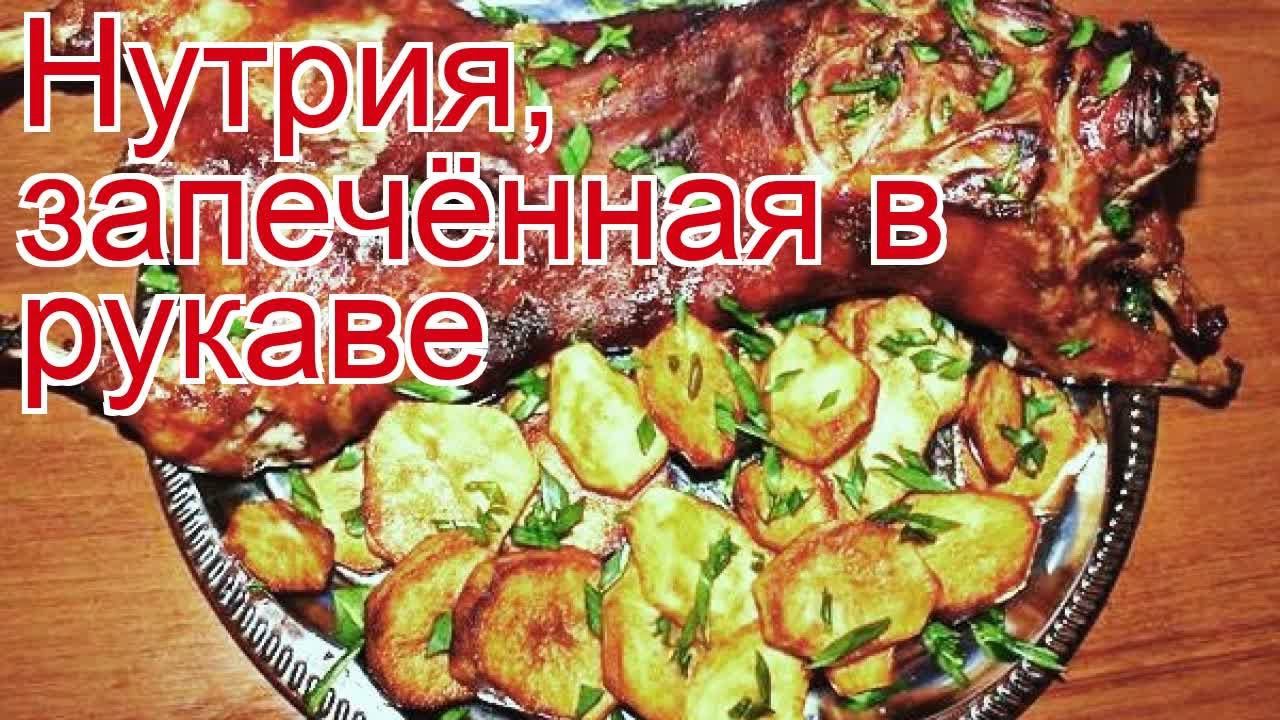 Рецепты из нутрии - как приготовить нутрию пошаговый рецепт - Нутрия, запечённая в рукаве