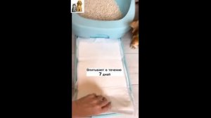 Японский системный туалет