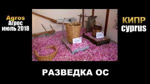 Разведка ОС. Кипр. Агрос. Косметика из лепестков роз.