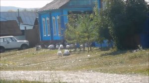 Троицкое 2018 Оренбургская обл. Тюльганский рн.