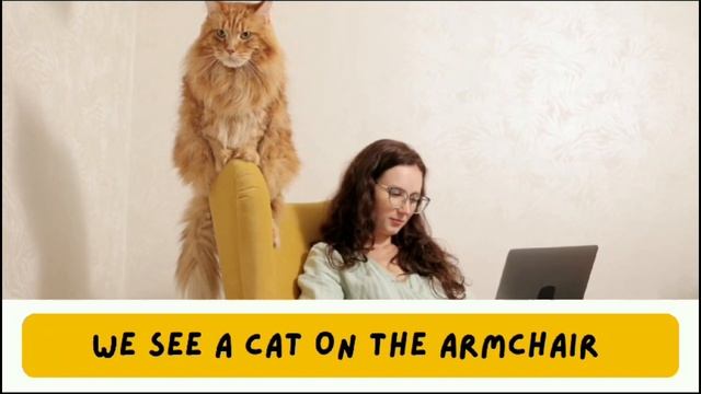 Present Simple. Отработка неопределенного артикля a/an. Животные. смотреть онлайн