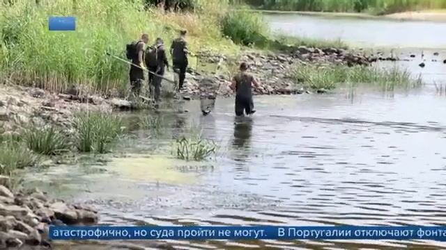 Европейские страны из-за небывалой засухи переходят на режим жесткой экономии воды смотреть онлайн