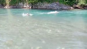 река Шахе с. Солохаул Краснодарский край 2021 -2