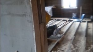 Дом из арболита. Про штукатурку.