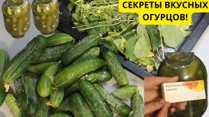 Солёные огурцы с аспирином "Бабушкин рецепт".