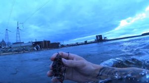 ОТДЫХАЕМ В РЕФТИНСКОМ | ПЛАВАЕМ ПОД ВОДОЙ НА ТЕПЛИЧНОМ ХОЗЯЙСТВЕ И ДАМБЕ | РЕФТИНСКОЕ ВОДОХРАНИЛИЩЕ