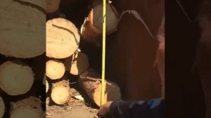 Круглый лес