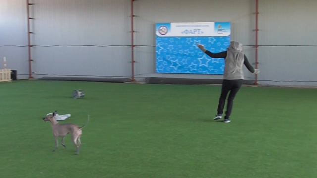 Класс Мастер фристайл; Харахурсах Елена & ксолоитцкуинтли_РУС ШОУ ФОРЕВЕР ЧУМЕНА смотреть онлайн