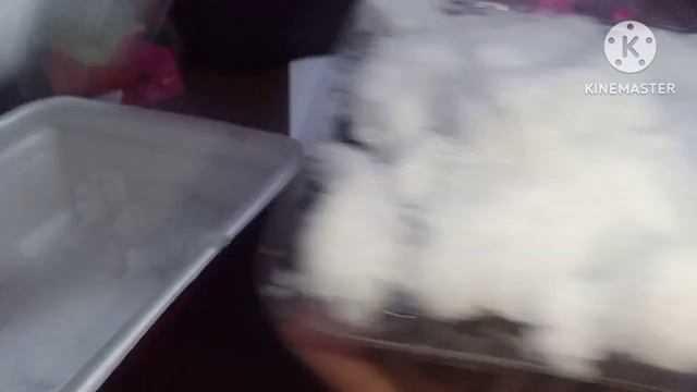 Эффективный способ посева семян петунии на снег. смотреть онлайн