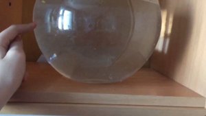 Влог/ Покупаю рыбку петушка  на карантине/ обустраиваю аквариум ??