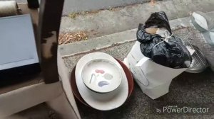 МИЛЛИОНЕРЫ ВЫКИНУЛИ А Я ВЗЯЛА . НЕ СВАЛКА А БАРАХОЛКА . АВСТРАЛИЯ ШПЕРМЮЛЬ