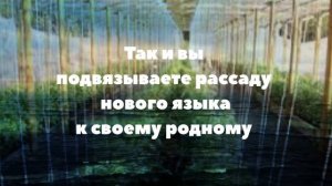 Турецкий по песням и караоке Yalın "Sesinde aşk var"