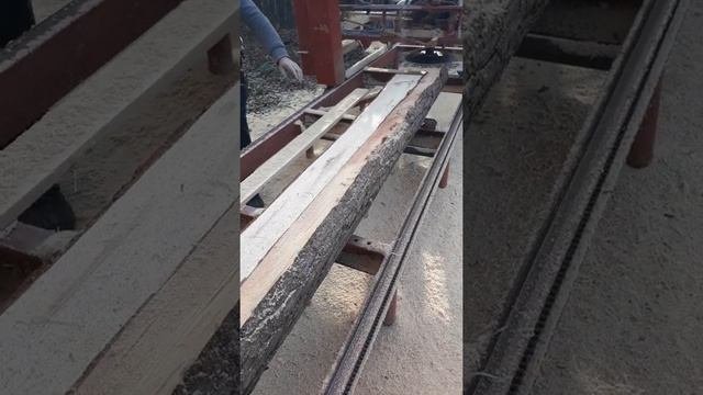 Дисковая угловая пилорама (автоматическая)