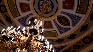 VLOG#2: поездка в ПИТЕР//ПЕТЕРГОФ/ЦАРСКОЕ СЕЛО