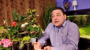 Как выбрать идеальный горшок для комнатного растения?