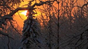 Славься ты Русская наша земля!