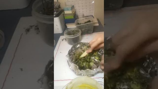 Ведьмина свеча, бесфитильная. смотреть онлайн