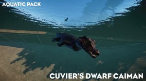 ▶ All 153 Planet Zoo Animals & Babies | Every Planet Zoo Pack Included | Complete Guide