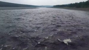 Остров без названия на реке Кочечум около ручья Гормакит.