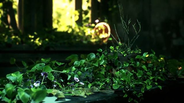 [2] Пара решила оставить свою надпись на коре дерева, никто даже не представлял, что случится дальш смотреть онлайн