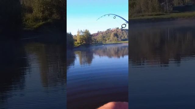 полное видео на канале: РЫБАЛКА С НОЧЕВКОЙ два дня искали щуку, она ловилась утром