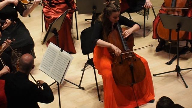 Stradivari Festival A Cremona: London Mozart Players All'MdV