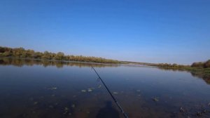 Налим на джиг! Атаки пассивного ОКУНЯ !Рыбалка осенью! Спиннинг на Оке!