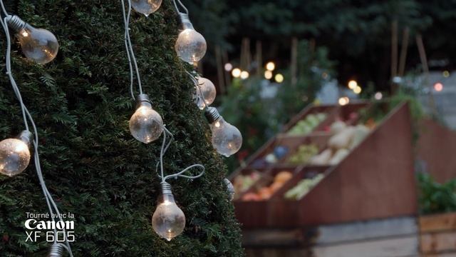 Canon XF605 Sample Footage 4K смотреть онлайн