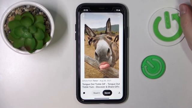How to Save GIFs from Pinterest - Download the GIF to Gallery
