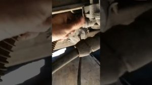Как проверить неисправность ускорительного клапана и энергача