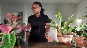 Top 5 Plant Favorites | My Plant Favorites for the Month of June