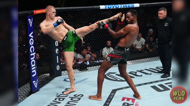 ОБЗОР UFC 292 |АлджэмейнСтерлинг, Шон О'Мэлли, Вейли Жанг,Аманда Лемос, Марлон Вера