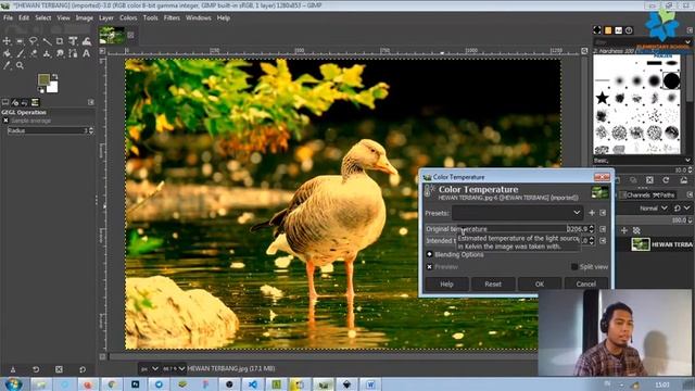 Mengatur warna dan kecerahan dengan aplikasi GIMP смотреть онлайн