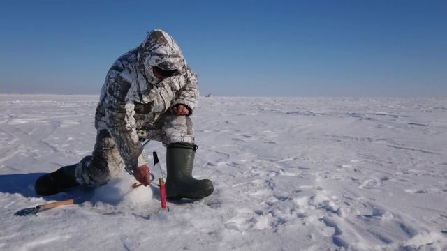 Озеро Балхаш - Зимняя Рыбалка 2022. Balkhash 2022. #Balkhash смотреть онлайн