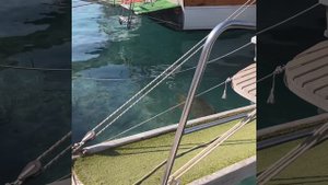 Москва_Турция_2021