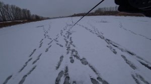 Лёд 2020-2021! Ловля щуки на жерлицы зимой! Рыбалка на балансир.