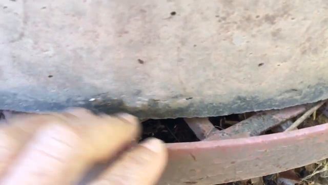 มหัศจรรย์ปุ๋ยดินดำ เกษตรอินทรีย์ ชุดที่ 17 "ดีจริงจึงบอก By Chalongsri" смотреть онлайн