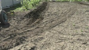 Вспашка огорода. Мотоблок МТЗ-06+плуг.