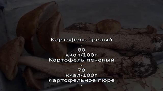 Подберезовики с картошкой