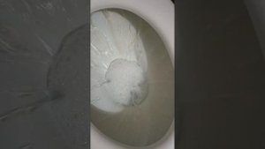жидкое мыло для унитаза.